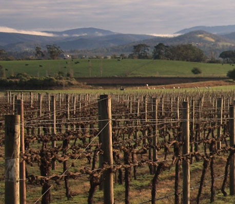 高级专业版本的网页攻击软件